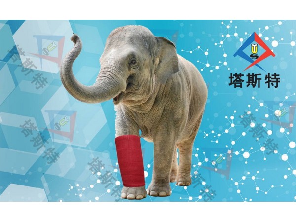 塔斯特高分子繃帶性價(jià)比高，強(qiáng)度高，重量輕，固化快