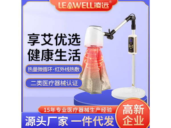 電子無(wú)煙艾灸儀 醫(yī)院招標(biāo)艾灸治療儀電 LY-AJ07b