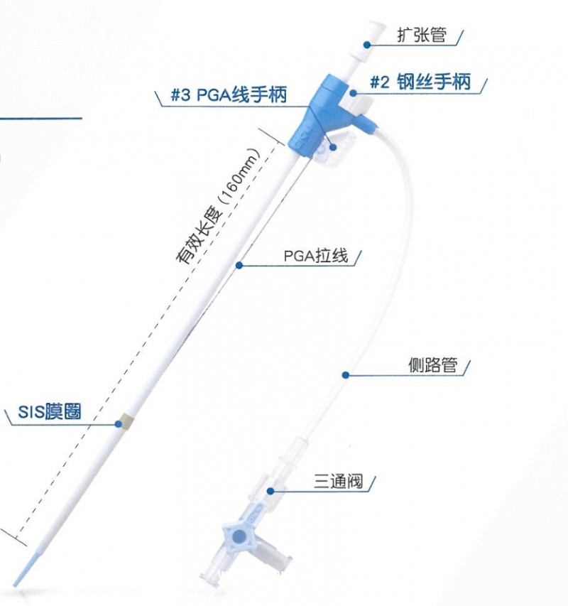 股動脈封堵器
