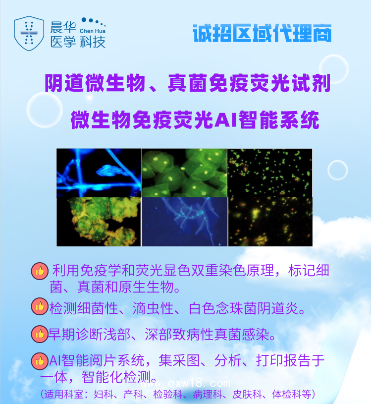 婦科陰道分泌物雙重染色試劑