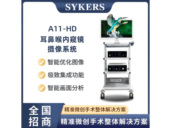 A11-HD 耳鼻喉內(nèi)窺鏡 攝像系統(tǒng)