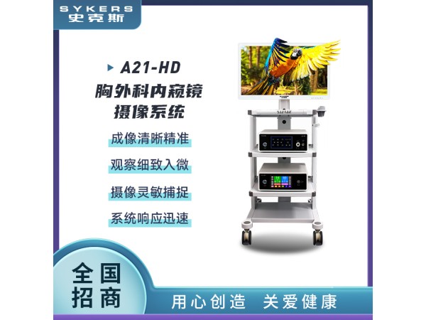 A21-HD 胸外科內(nèi)窺鏡 攝像系統(tǒng)