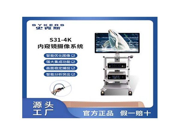 S31-HD 內(nèi)窺鏡 攝像系統(tǒng)