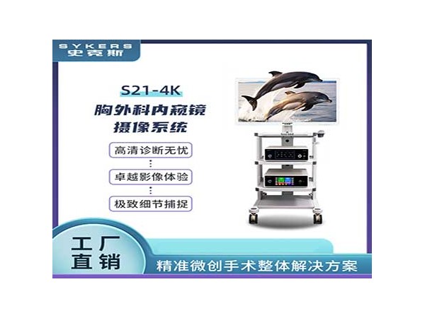 S21-4K內(nèi)窺鏡 攝像系統(tǒng)