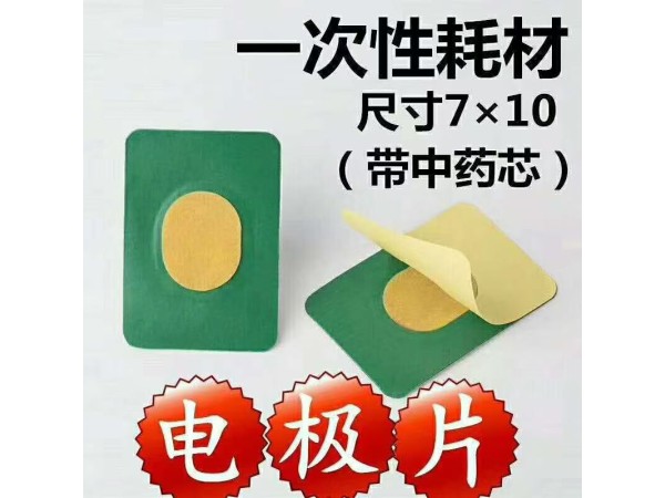 電極片