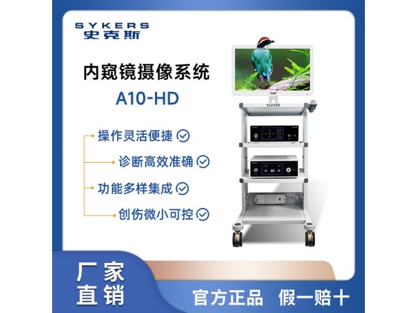 A10-HD 內(nèi)窺鏡攝像系統(tǒng)